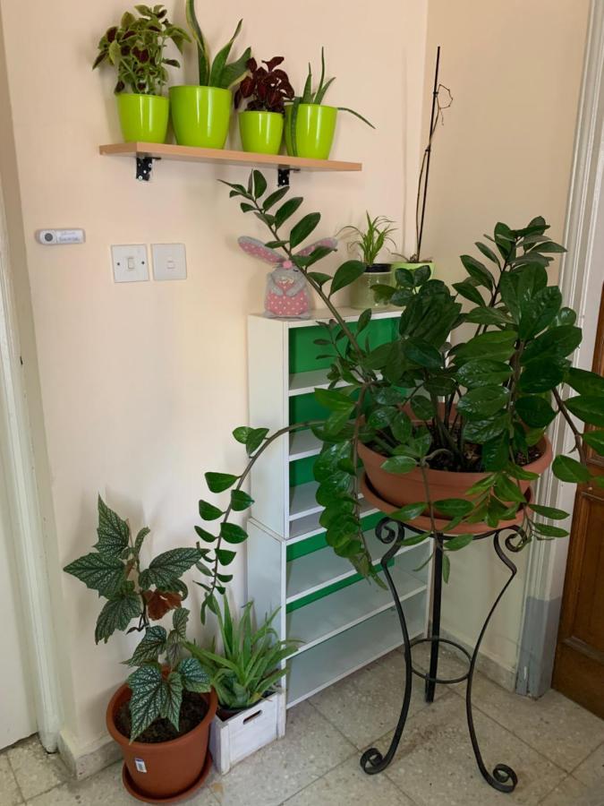 Mini Penthouse Larnaca Zewnętrze zdjęcie